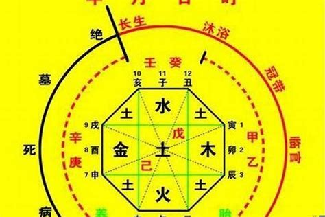 五行八字命盤|生辰八字算命、五行喜用神查詢（免費測算）